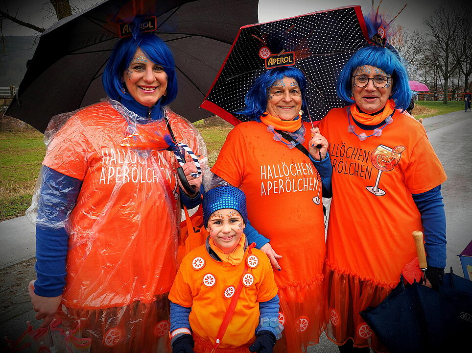 Fasching 2024 in Steinach