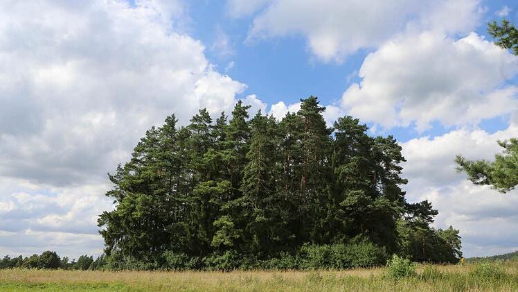 Der Ort, wo der Dartpfeil auf der Landkarte gelandet ist: ein Wäldchen nördlich von Waischenfeld Foto: Barbara Herbst
