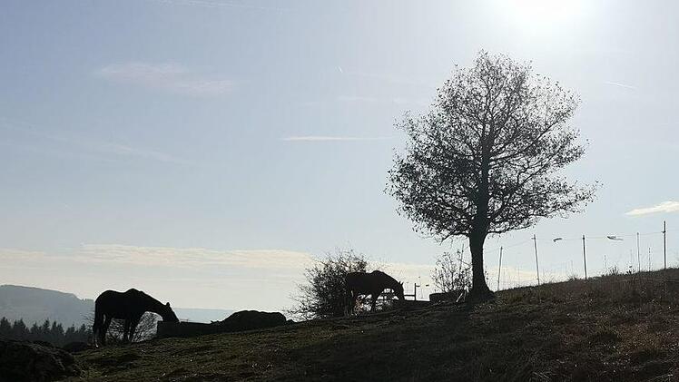 Das Panorama des Himmeldunkbergs. Foto: Marion Eckert