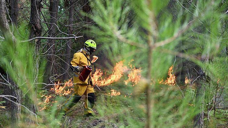 Waldbr&auml;nde in Frankreich