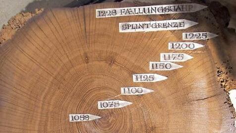 Im Stadtmuseum ist der Querschnitt eines Balkens zu sehen, den eine dendrochronologische Untersuchung auf 1228 datiert hat.
