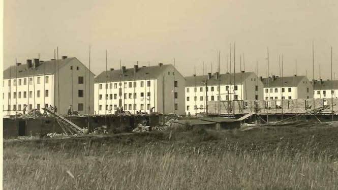 Die Wohnblocks beim Bau 1953.
