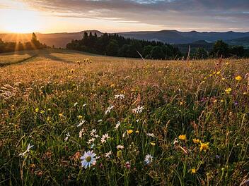 Symbolbild: Jürgen Hüfner