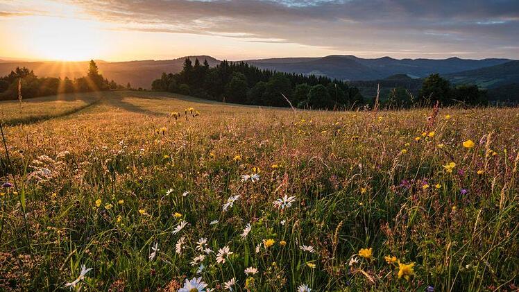 Symbolbild: Jürgen Hüfner