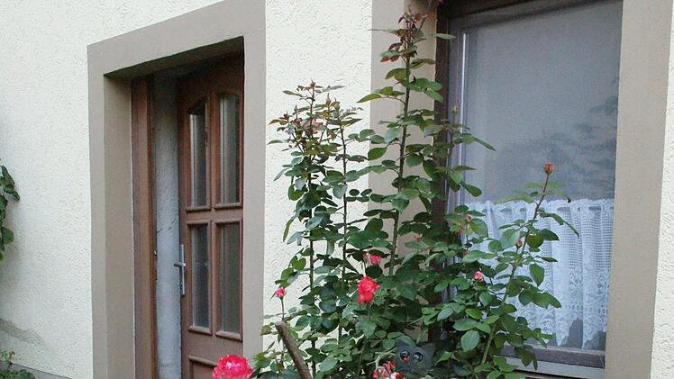 Der Kreativität sind im Garten keine Grenzen gesetzt. Bei Familie Lindner in Unterschwappach ergänzen sich Rose und Cocktailtomate. Foto: Sabine Weinbeer