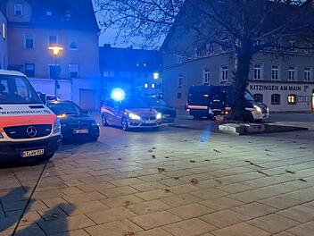 Kitzingen: Im Wasser treibender Hund l&ouml;st Gro&szlig;einsatz aus