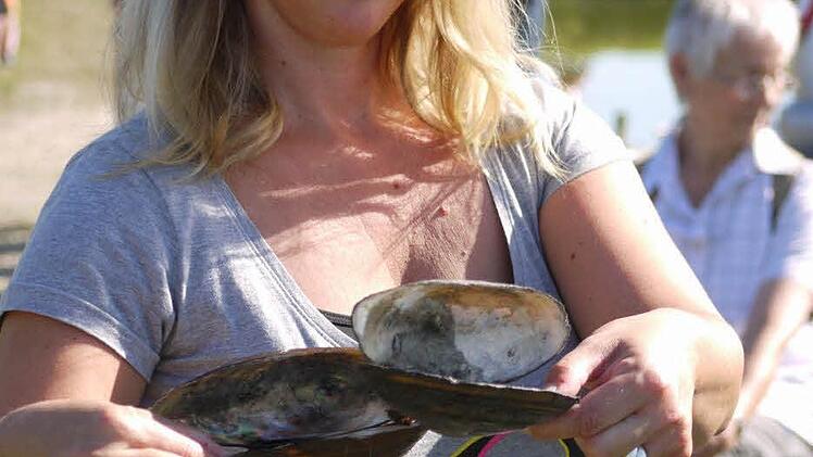 Anna zeigt Teichmuscheln