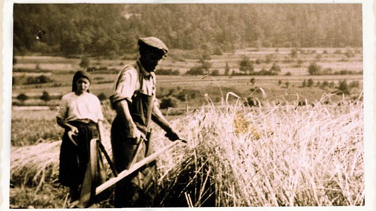Ein Landwirt bei Ebermannstadt mäht in den 30er-Jahren des letzten Jahrhunderts mit der Sense Getreide. Repros: Franze