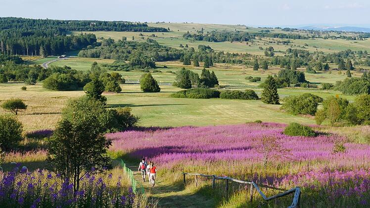 Farbtupfer in der Langen Rhön.HeikeBeudert