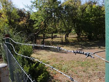 Was soll mit dem Biotop  in der Kerschensteinerstraße in Höchstadt geschehen? Kontrollierter Zugang nur für ausgewählte Gruppen sei das beste, sagen die Naturfreunde. Foto: Christian Bauriedel