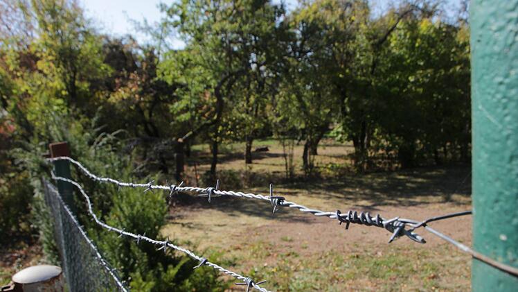Was soll mit dem Biotop  in der Kerschensteinerstraße in Höchstadt geschehen? Kontrollierter Zugang nur für ausgewählte Gruppen sei das beste, sagen die Naturfreunde. Foto: Christian Bauriedel