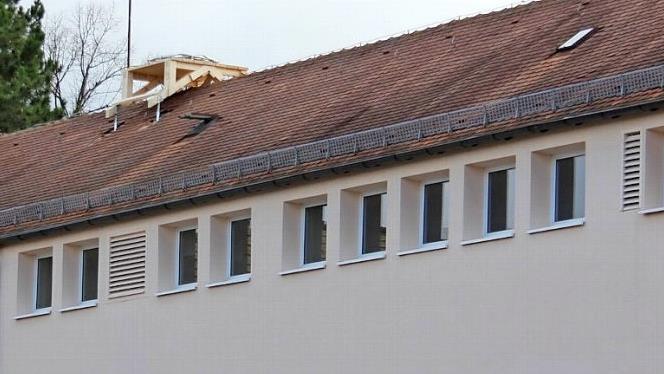 Der erste Horst steht auf dem Dach der Carl-Platz-Schule bereit. Drei weitere sollen folgen.  Foto: Bernhard Panzer