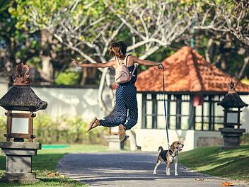 Hier stellen wir dir die hundefreundlichsten Freizeitparks in Deutschland vor.
