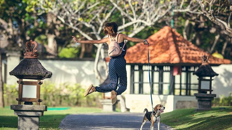 Hier stellen wir dir die hundefreundlichsten Freizeitparks in Deutschland vor.