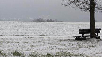Trübe Aussichten bei Unterpreppach: Im Nebel im Hintergrund verschwindet die Siedlung von Eyrichshof. Fotos: Eckehard Kiesewetter