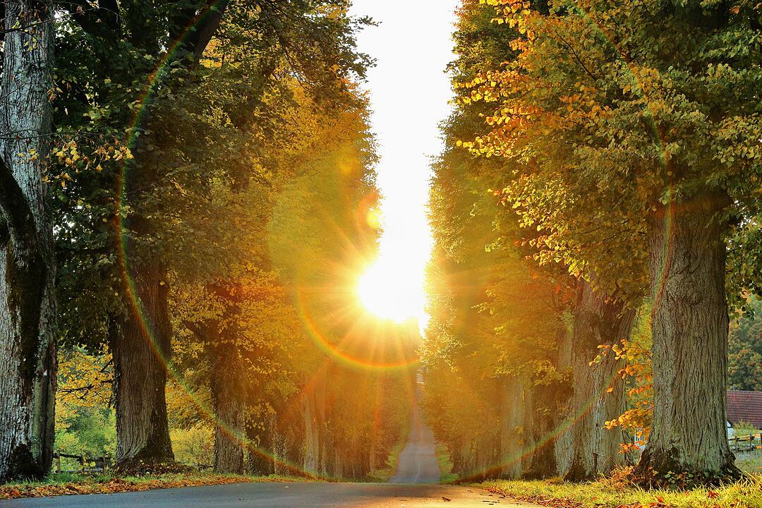 Herbst bei Schloss Greifenstein