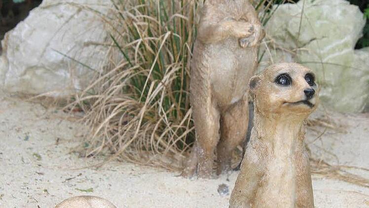 Die putzigen Erdmännchen - leider nur aus Plastik.