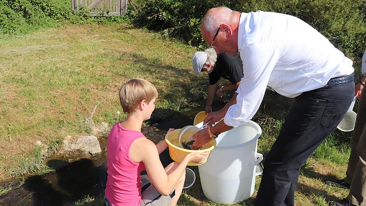 Ab in den Bach: G&uuml;nther Denzler und  Friedrich Schmauser setzen 1000 kleine Forellen in die Aufse&szlig; ein. Links  die Fischwirtin Alina Gro&szlig;mann von der Lehranstalt f&uuml;r Fischerei. Foto: Sabine Heid--