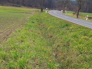 Vor allem sind es Rehe, die Opfer von Wildunfällen werden. Rainer Glissnik