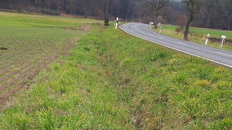 Vor allem sind es Rehe, die Opfer von Wildunfällen werden. Rainer Glissnik