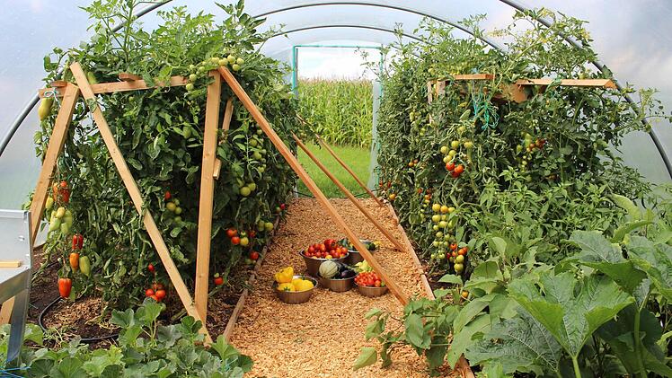 Gewächshaus des Heinershofs