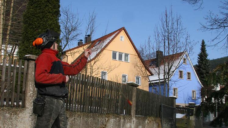 Mit dem Wurf eines Seils, an dessen Ende ein Wurfsäckchen hängt, beginnt die Baumkletteraktion. Dann wird das Kletterseil emporgezogen