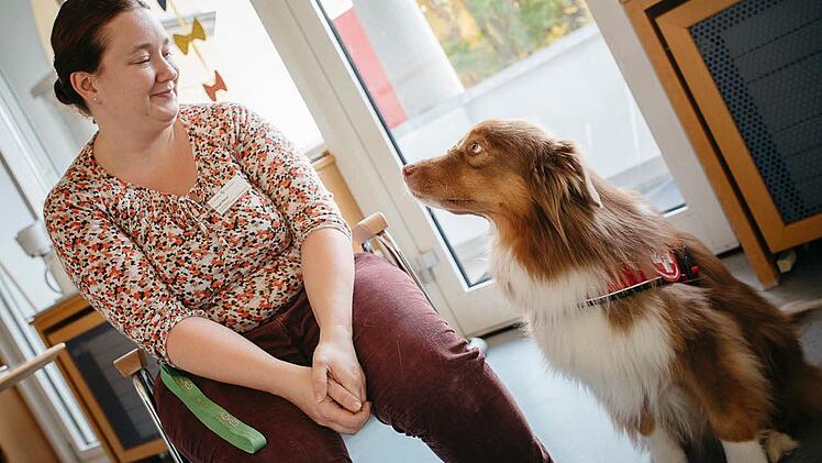 Mal Ruhe und Zuneigung, dann wieder wildes Spiel: Takoda passt sich der Gefühlslage der Patienten an. Gemeinsam mit Sozialpädagogin Birgit Rauh bringt der Therapiehund Freude in den Klinik-Alltag.  Fotos: Manuel Stark