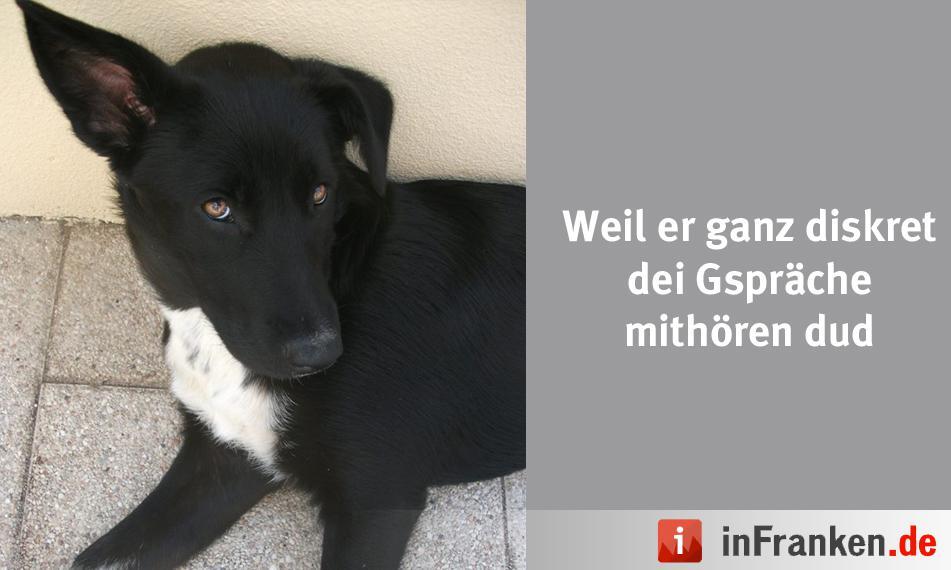 Foto: Tina Lindenberger