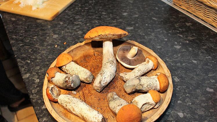 Rotkappen, gefunden in der Nähe von Sambach (und ein Champignon von der Wiese bei Kleinwachenroth)   Foto: Evi Seeger