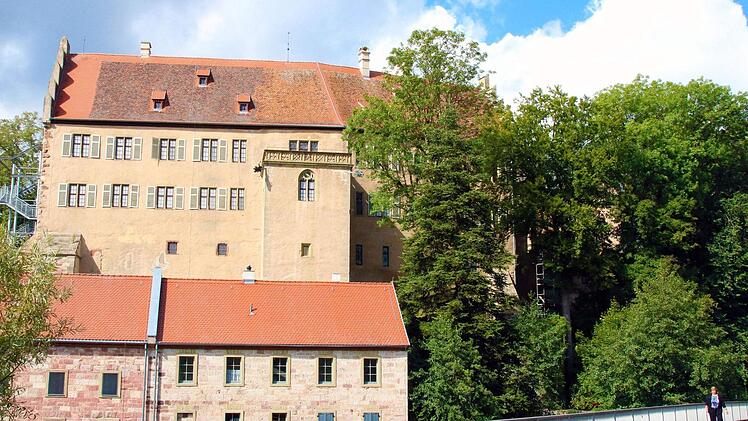Schloss Aschach wird gründlich saniert und für Behinderte zugänglich gemacht. Das Graf-Luxburg-Museum ist deshalb im kommenden Jahr nicht zugänglich. Foto: Dieter Britz