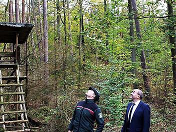 Bei der Waldbewirtschaftung muss der Blick immer wieder nach oben, aber auch nach unten gerichtet sein. Im Bild der Revierleiter Benjamin Göbel (links) mit Bürgermeister Johannes Krapp Foto: Evi Seeger