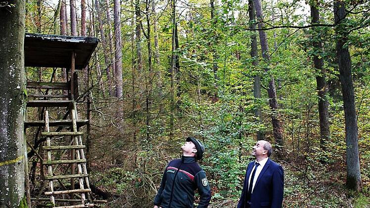 Bei der Waldbewirtschaftung muss der Blick immer wieder nach oben, aber auch nach unten gerichtet sein. Im Bild der Revierleiter Benjamin Göbel (links) mit Bürgermeister Johannes Krapp Foto: Evi Seeger