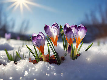 Frühling und Schnee, Aprilwetter