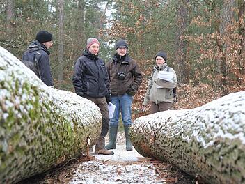 Auf dem Holzlagerplatz Strullendorf waren die Stämme zur Besichtigung aufgelegt. Fotos: Michael Gründel