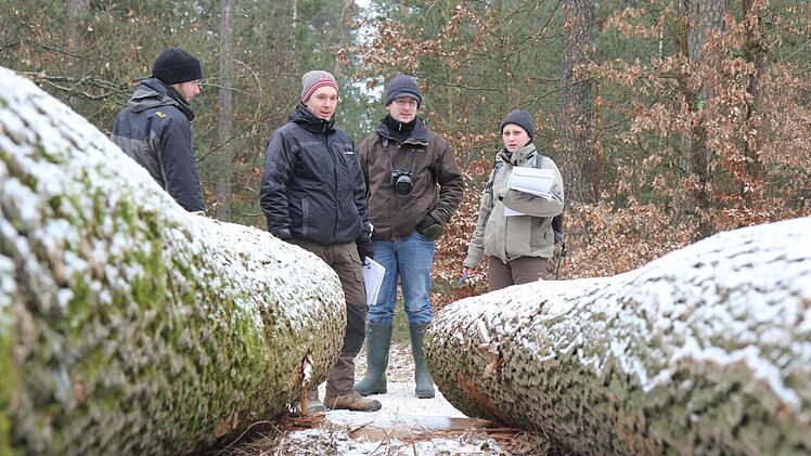 Auf dem Holzlagerplatz Strullendorf waren die Stämme zur Besichtigung aufgelegt. Fotos: Michael Gründel