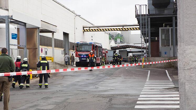 Foto: NEWS5 / Grundmann