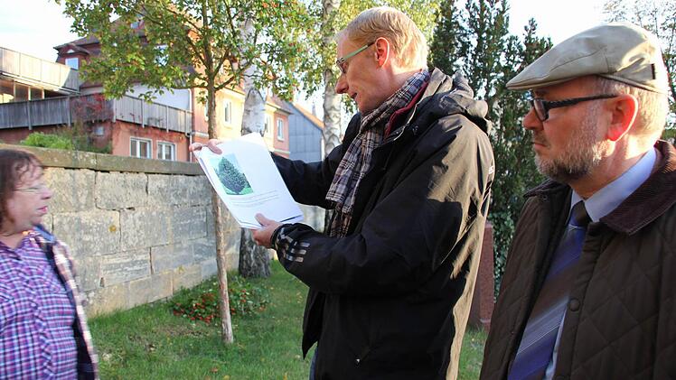 Martin Lang zeigte die Alternative für die Nachpflanzungen,