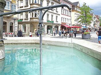 Der Brunnen "Am Grünen Baum" auf dem Coburger Marktplatz Foto: Jochen Berger