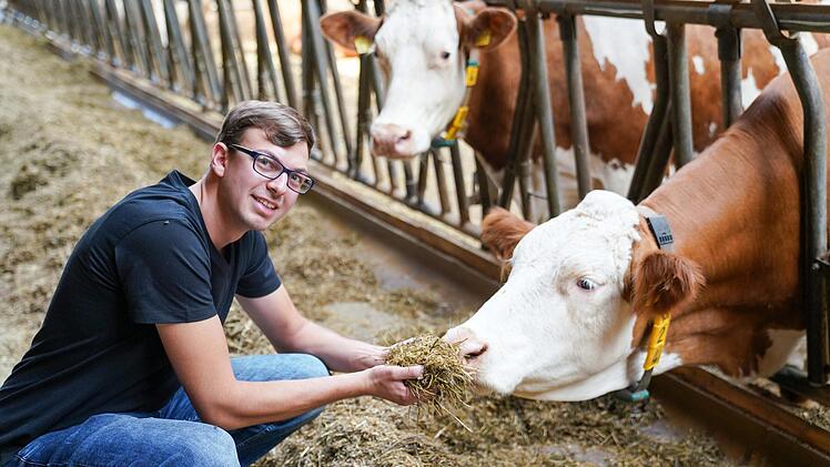 Kühe zu ernähren ist eine Wissenschhaft für sich. Markus Unger hat das in seiner Ausbildung zum Landwirt gelernt. Foto: Adriane Lochner