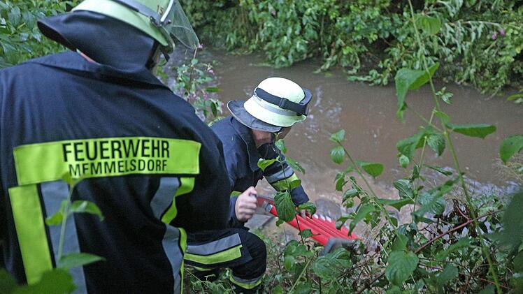 Foto: News5 / Herse