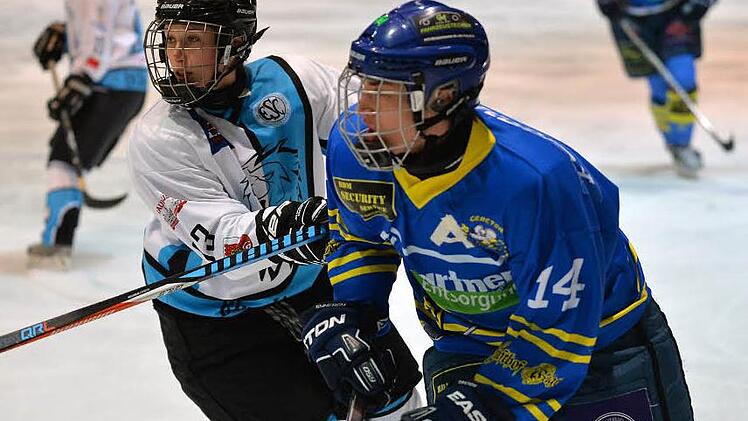 Die Blue Lions um Carina Kirschner (links) verkauften sich gegen den Tabellenführer aus Geretsried über weite Strecken teuer. Foto: Picturedreams