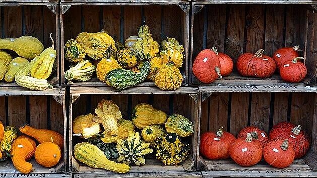 Im Herbst leuchten die Gemüseregale in warmen Farben. Ganz vorne mit dabei: der Kürbis. Was macht ihn zu einem so beliebten und gesunden Saisongemüse?