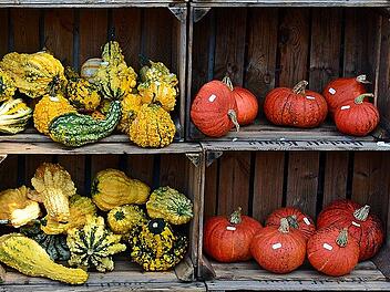 Im Herbst leuchten die Gemüseregale in warmen Farben. Ganz vorne mit dabei: der Kürbis. Was macht ihn zu einem so beliebten und gesunden Saisongemüse?