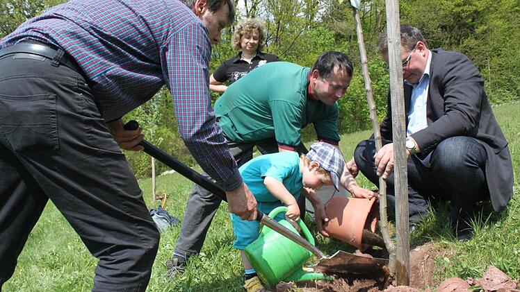 Alle legen Hand an, damit das junge Bäumchen gut anwächst.