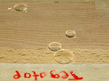 Lotus-Effekt nennt man es, wenn Oberflächen Wasser und auch Schmutz einfach abperlen lassen. Im Wettbewerb "Jugend forscht" hat der Gymnasiast Toni Oehm aus Sylbach ein Verfahren entwickelt, solche Oberflächen als Abdruck von natürlichen Vorbildern nachzubilden.  Fotos: Sabine Weinbeer