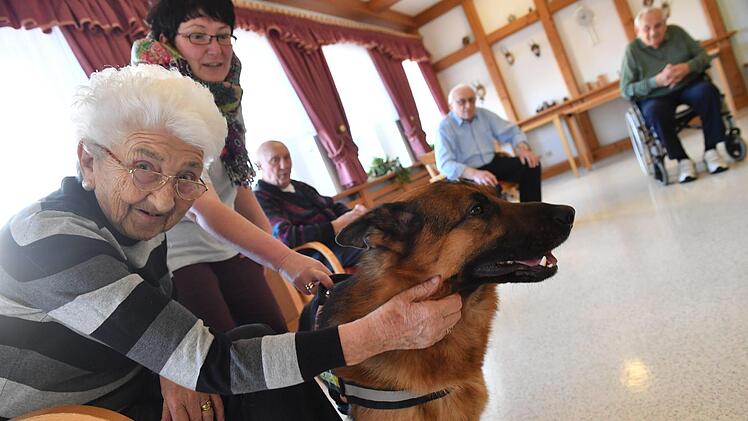 Therapiehund Aramis bei den Senioren im Kulmbacher WohnstiftFoto: Ronald Rinklef
