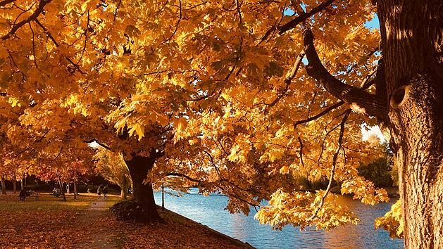 Herbst Sonne Wetter