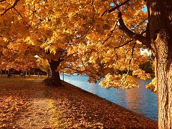 Herbst Sonne Wetter