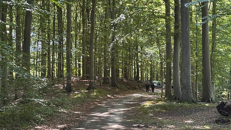 Menschlicher Torso in Waldst&uuml;ck gefunden