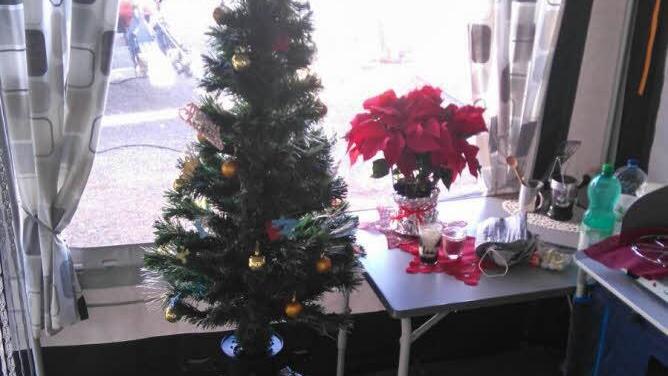 Der Weihnachtsbaum im Vorzelt der Raabs Foto: Clemens Raab